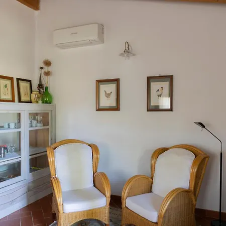 Poderino Cinigiano