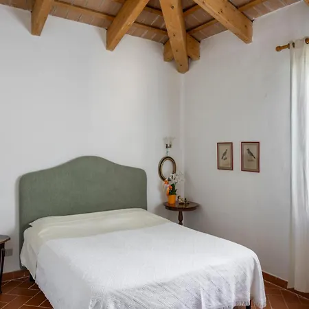 Poderino Cinigiano