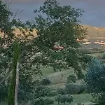 Poderino Feriegård
