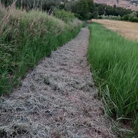 Agroturismo Poderino