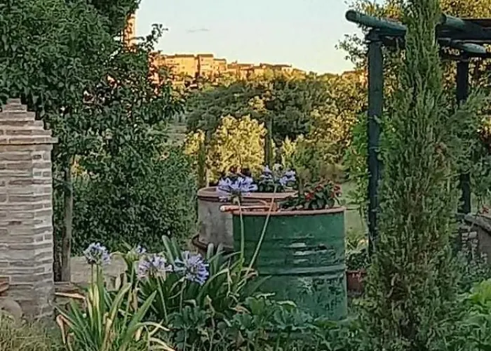 Poderino 팜스테이 신기아노