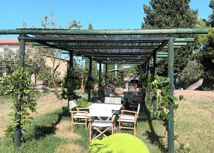 Poderino * 신기아노