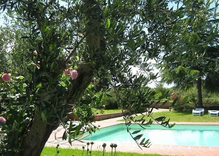 Poderino 팜스테이