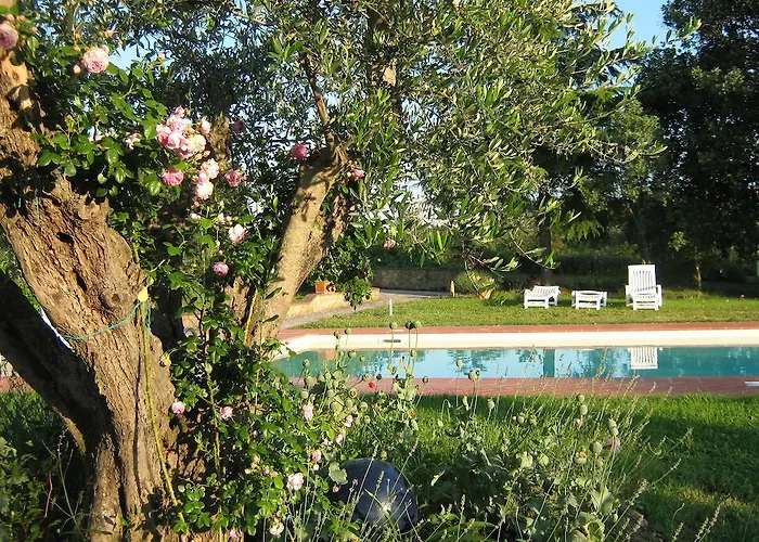 Poderino 팜스테이